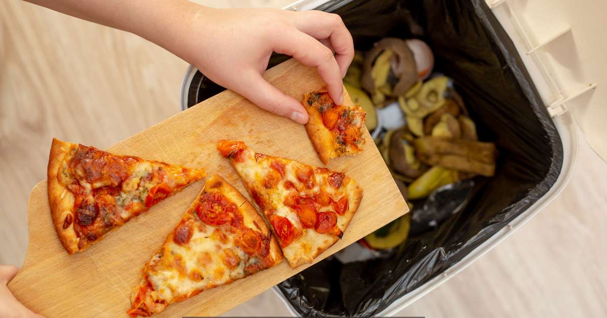 Doggy bag : ce que les restaurateurs doivent proposer à la demande