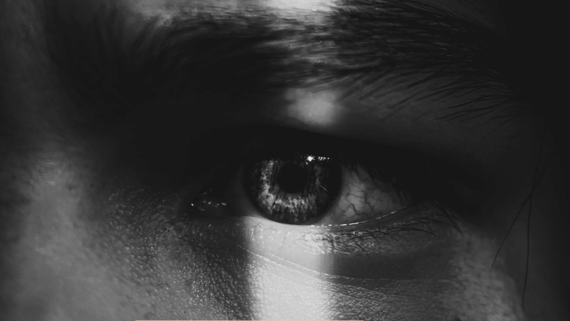 L’échec entrepreneurial en France : un frein ou un tremplin pour l’innovation ?