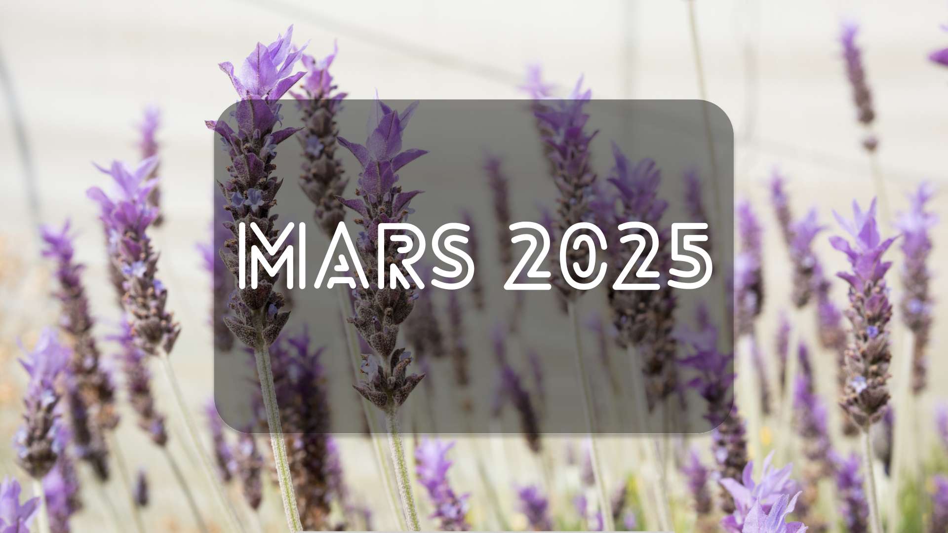 Ce qui change en mars 2025