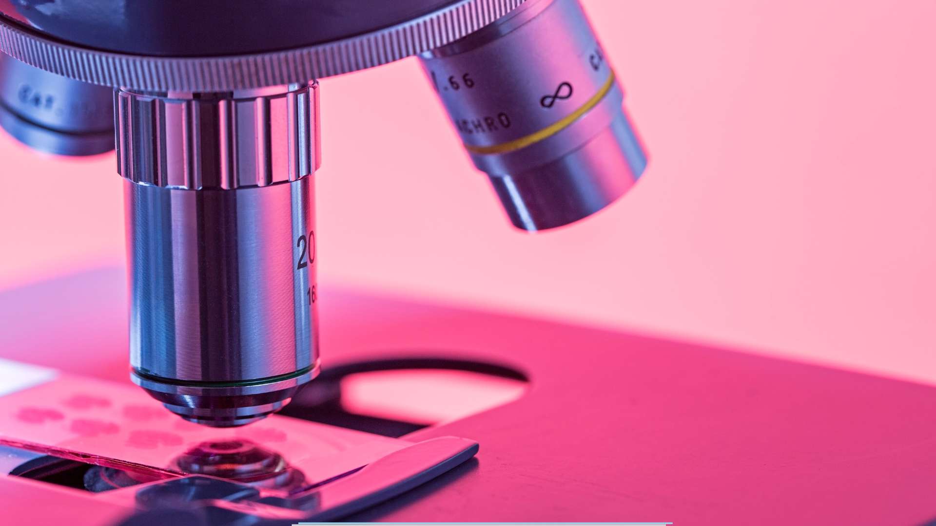 Baromètre Bpifrance Le Lab – Rexecode : le contexte politique plombe encore les entreprises