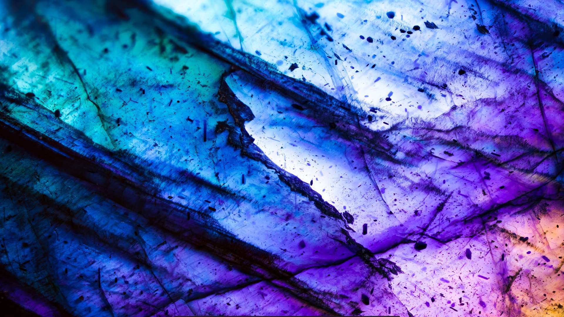 Défaillances d’entreprises : l’étude d’Altares Dun & Bradstreet sur le 1ᵉʳ trimestre 2025