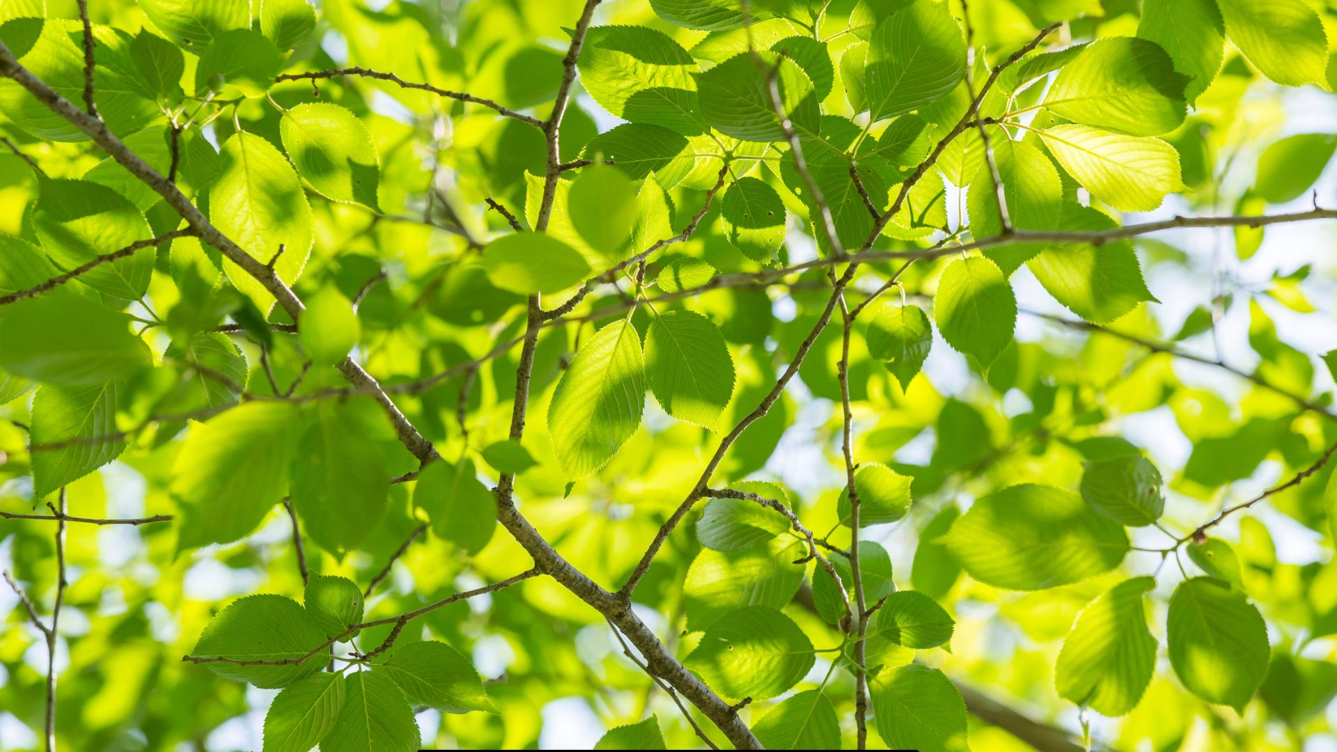 Ce qui change en mai 2026 : étudiants, énergie, impôts, titres de séjour… les nouveautés du mois